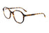 LT13 GEORGIA col.Yellow Tortoise